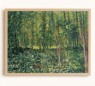 Trees and Undergrowth