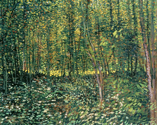 TREES AND UNDERGROWTH