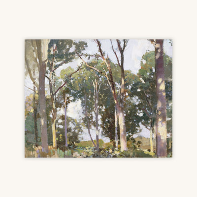 TREES IN SUNLIGHT — Primary Image