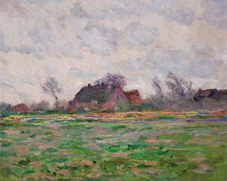 TULIP FIELDS NEAR LEIDEN