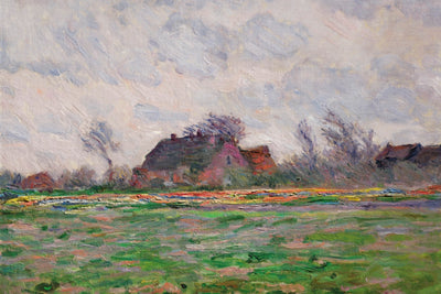 TULIP FIELDS NEAR LEIDEN