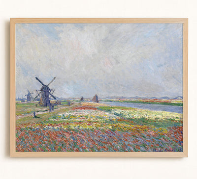 Tulip Fields near the Hague