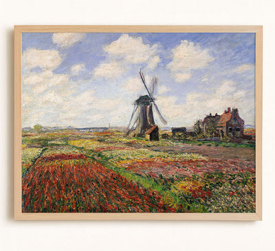 Tulip Fields With the Rijnsburg Windmill