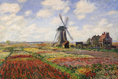 TULIP FIELDS WITH THE RIJNSBURG WINDMILL