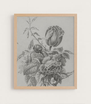 TULIP STUDY - Museum Quality Art