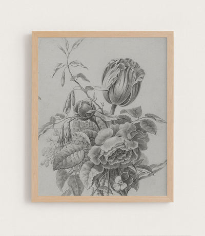 TULIP STUDY - Museum Quality Art