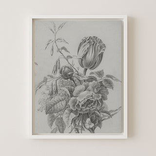 TULIP STUDY - Museum Quality Art