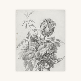 TULIP STUDY — Primary Image