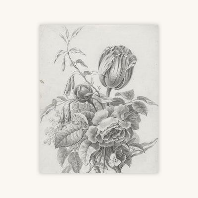 TULIP STUDY — Primary Image