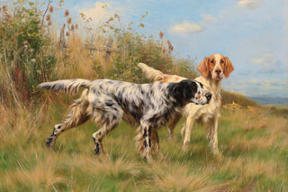 TWO ENGLISH SETTERS