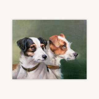 TWO FOX TERRIERS — Primary Image