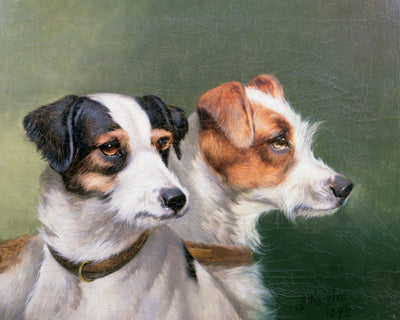 TWO FOX TERRIERS