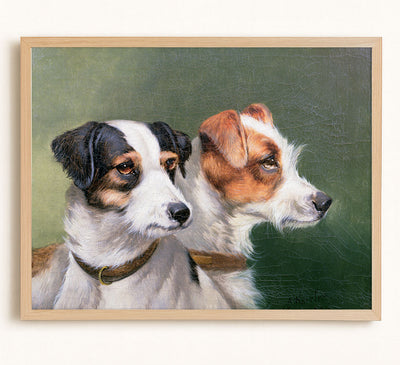 Two Fox Terriers