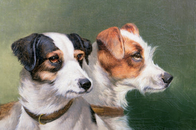 TWO FOX TERRIERS