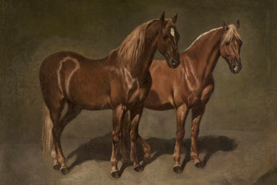 Two Horses