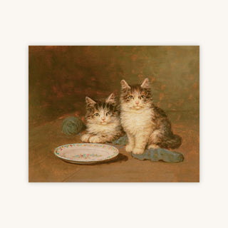 TWO KITTENS WITH AN EMPTY BOWL — Primary Image