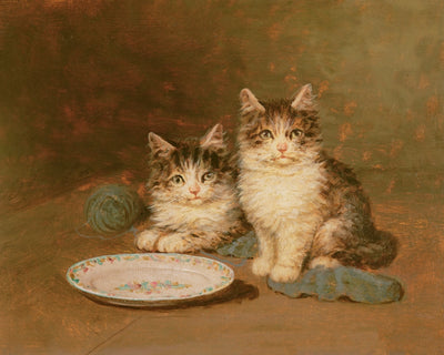 TWO KITTENS WITH AN EMPTY BOWL