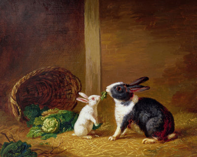 TWO RABBITS