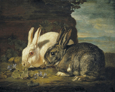 Two Rabbits