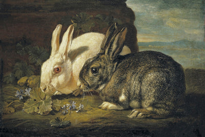 Two Rabbits