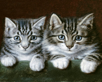 TWO TABBY KITTENS
