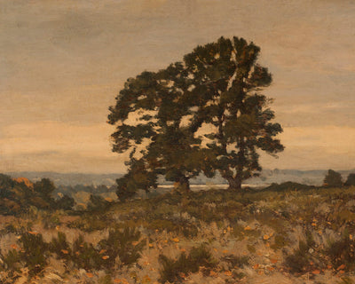 TWO TREES AT THE EDGE OF A FOREST - Museum Quality Art