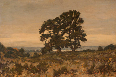 TWO TREES AT THE EDGE OF A FOREST - Museum Quality Art