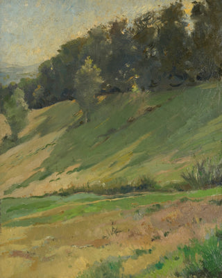 View from Llandrindod Wells, the Upper Link