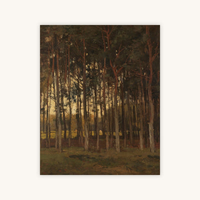 VIEW IN THE WOODS — Primary Image