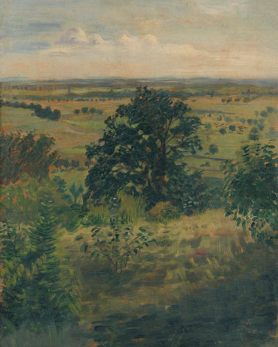 VIEW OF A LANDSCAPE