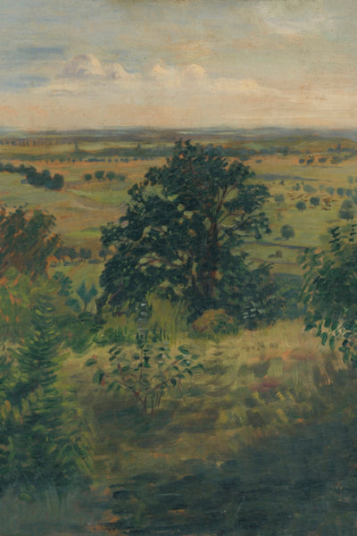 VIEW OF A LANDSCAPE