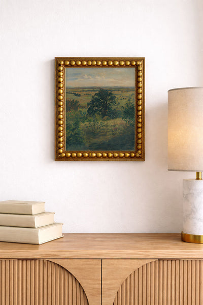 View of a Landscape