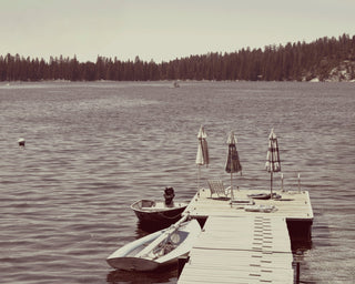 Vintage Lake Life I