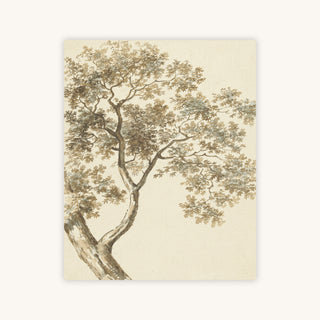VINTAGE OAK — Primary Image