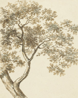 Vintage Oak