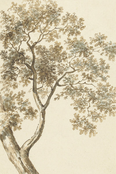 Vintage Oak