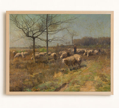 Vintage Sheep