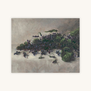 VIOLETS — Primary Image