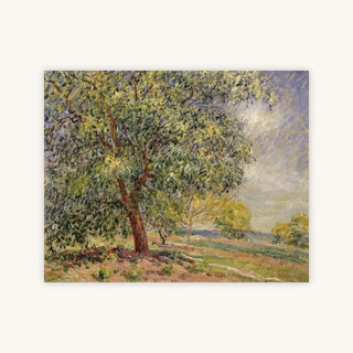WALNUT TREE AT SABLONS IN SPRING — Primary Image