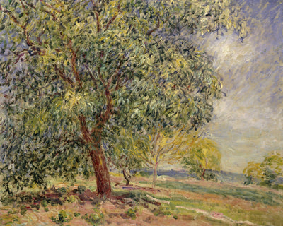 WALNUT TREE AT SABLONS IN SPRING