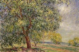 WALNUT TREE AT SABLONS IN SPRING