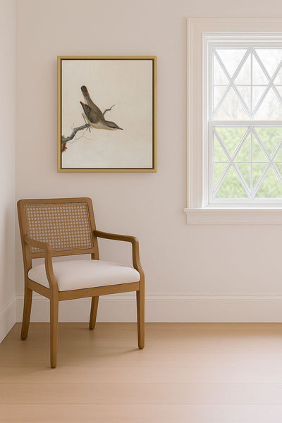 Warbler Reed Wren