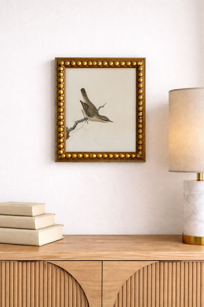 Warbler Reed Wren