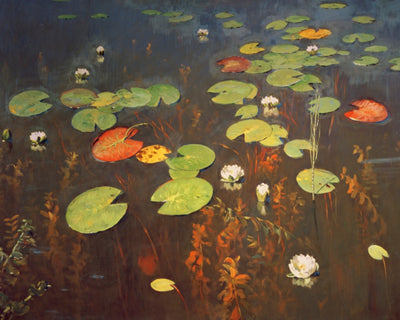 WATER LILIES