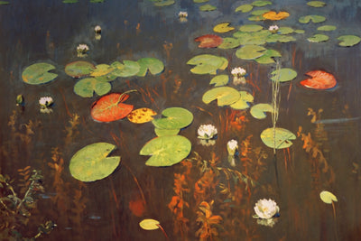 WATER LILIES