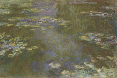 WATER LILIES