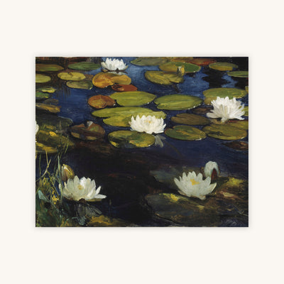 WATER LILY POND — Primary Image