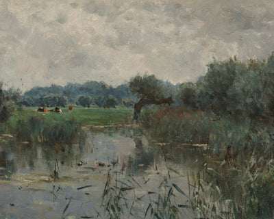 Water Meadows