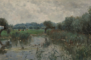 Water Meadows