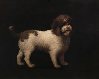 WATER SPANIEL